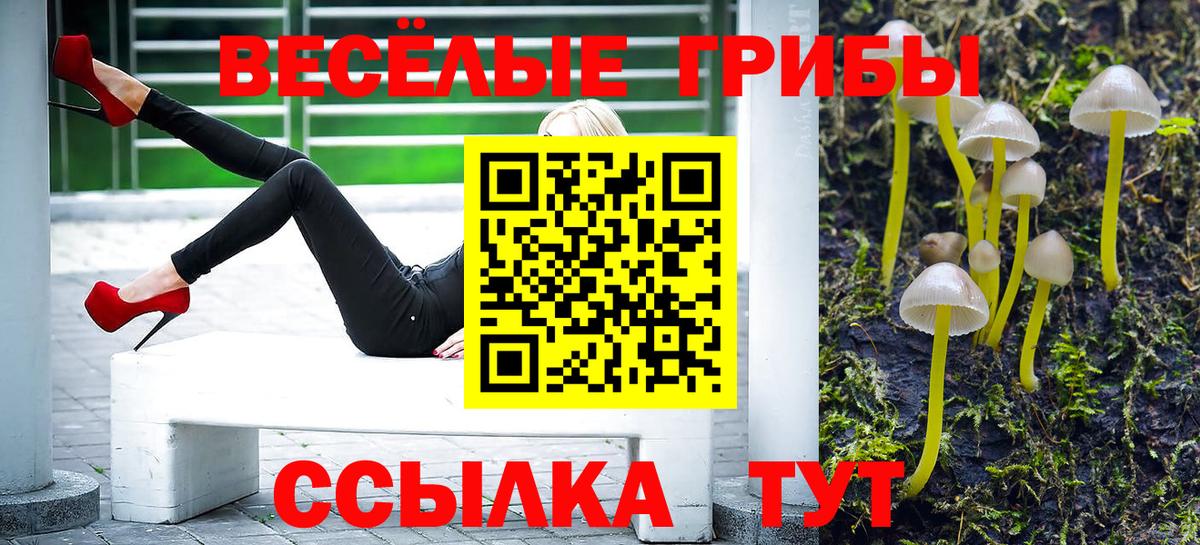 Пермь  Галлюциногенные грибы Psilocybine cubensis  Галлюциногенные грибы ЛСД  Вход с VPN 